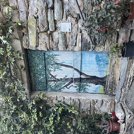 Il Mulino - Vlo207 By Interhome Pantasina